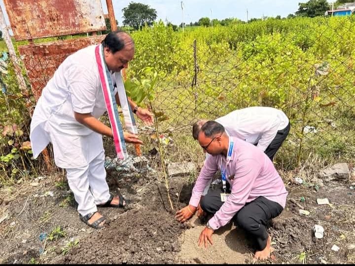 वृक्ष लागवड